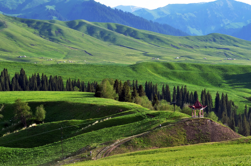 �۾�ͤ    ������