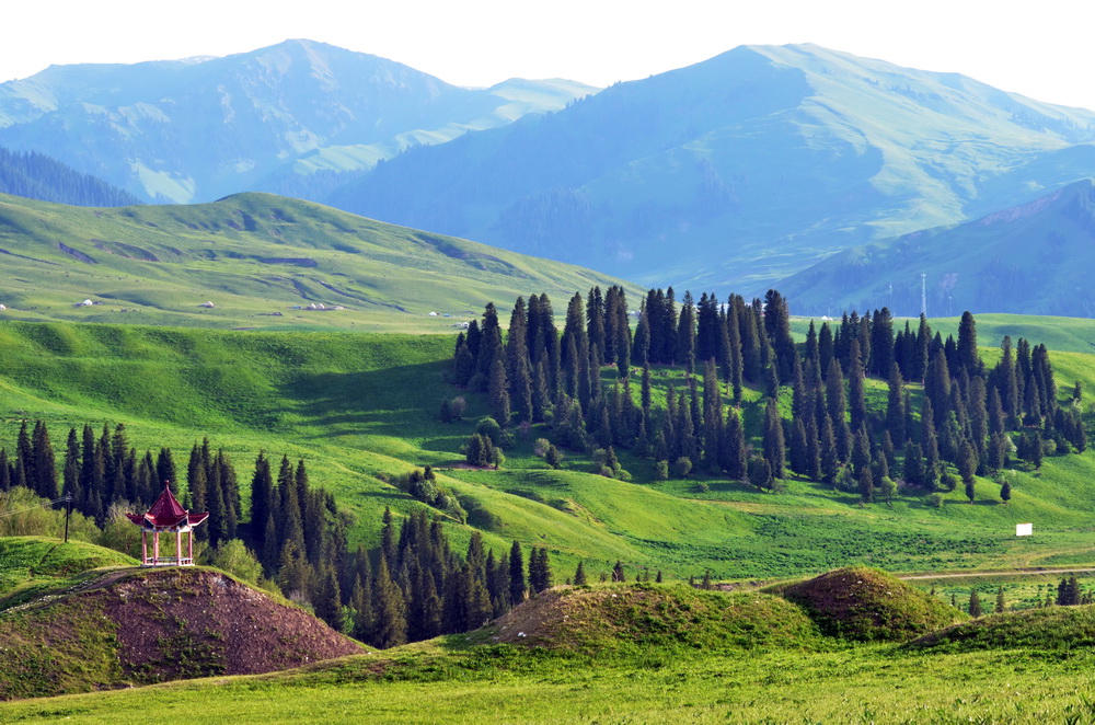 ԲԲ��    ������