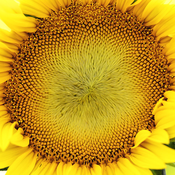 2014��7��27�����տ���Ƭ2 a00212.jpg