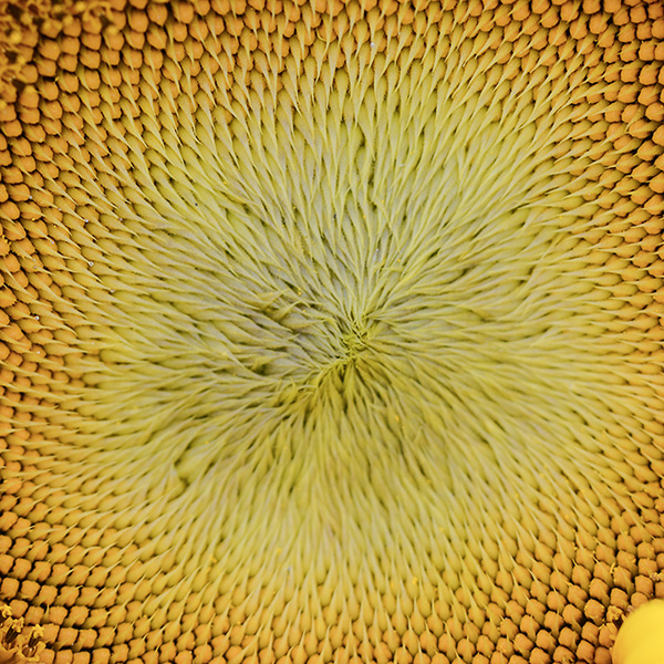 2014��7��27�����տ���Ƭ2 a00312.jpg