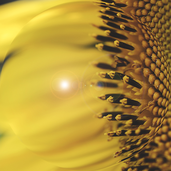 2014��7��27�����տ���Ƭ2 a01112.jpg