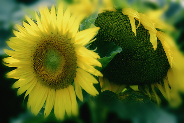 2014��7��27�����տ���Ƭ2 a02912.jpg