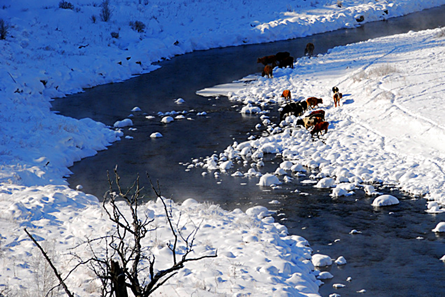 ����̫���У����¹�һ��ͼ��ʹ���崦�����Ͻǡ�