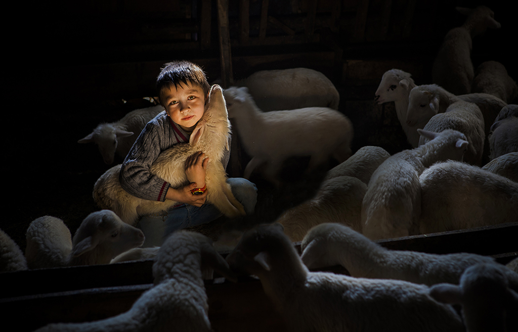 3 FIAPͭ��Ozcelik Murat��ӵ�����������䣩.jpg