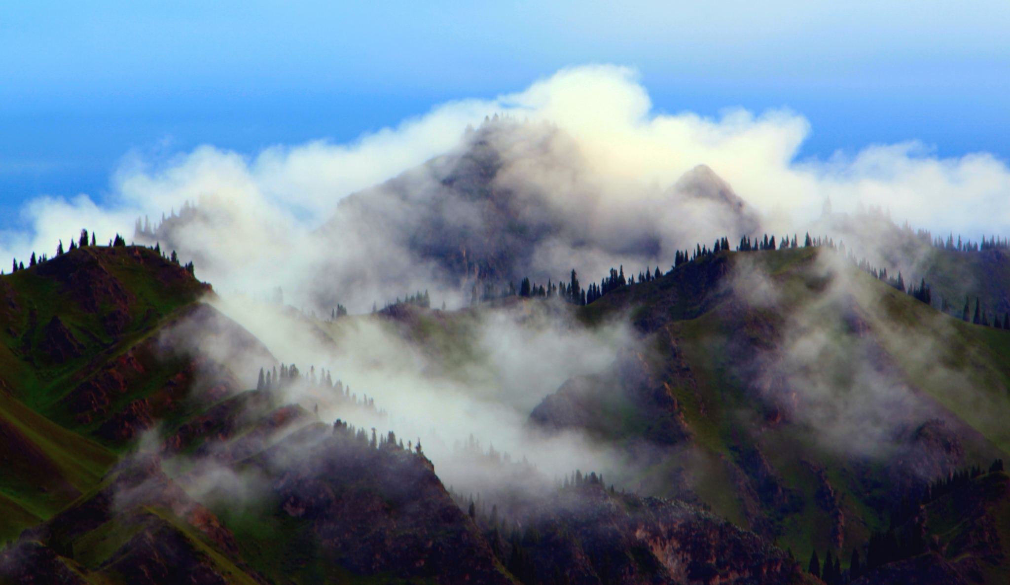 ���޷�����շ�