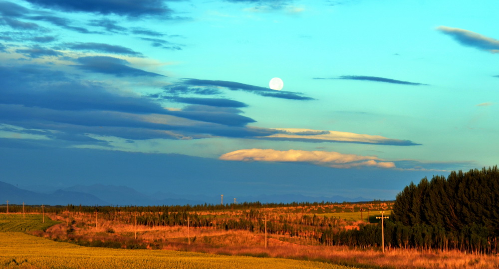 ��������     ������