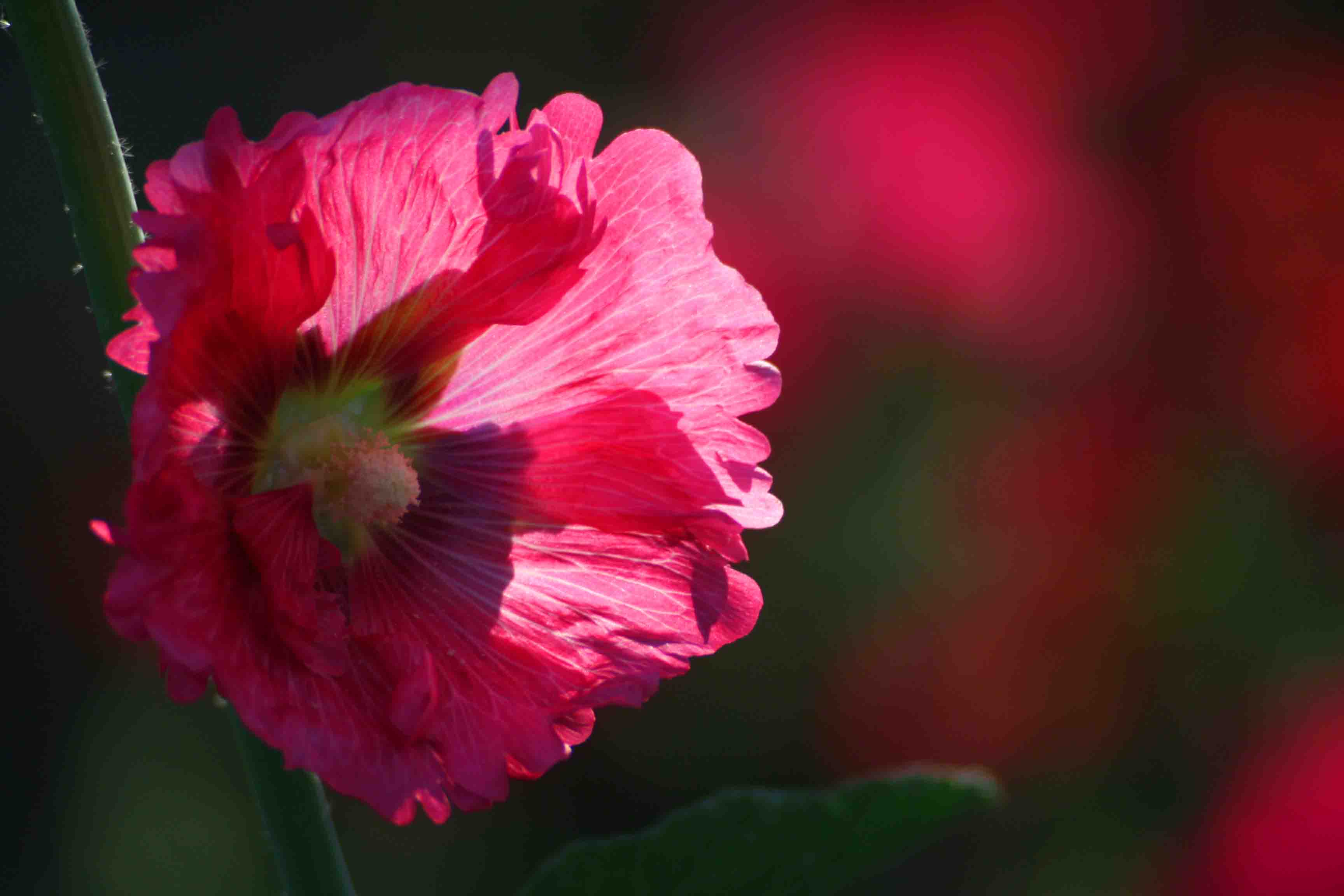 2014.7.7�� 003 (57)z.jpg