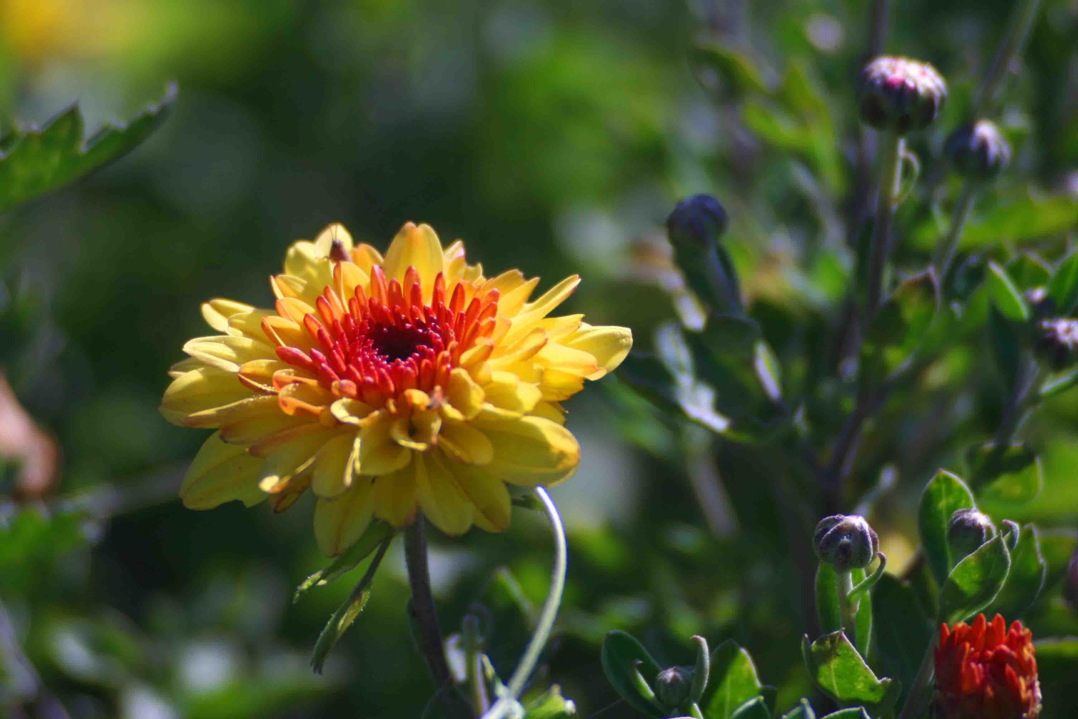 2014.7.7�� 003 (64)z.jpg