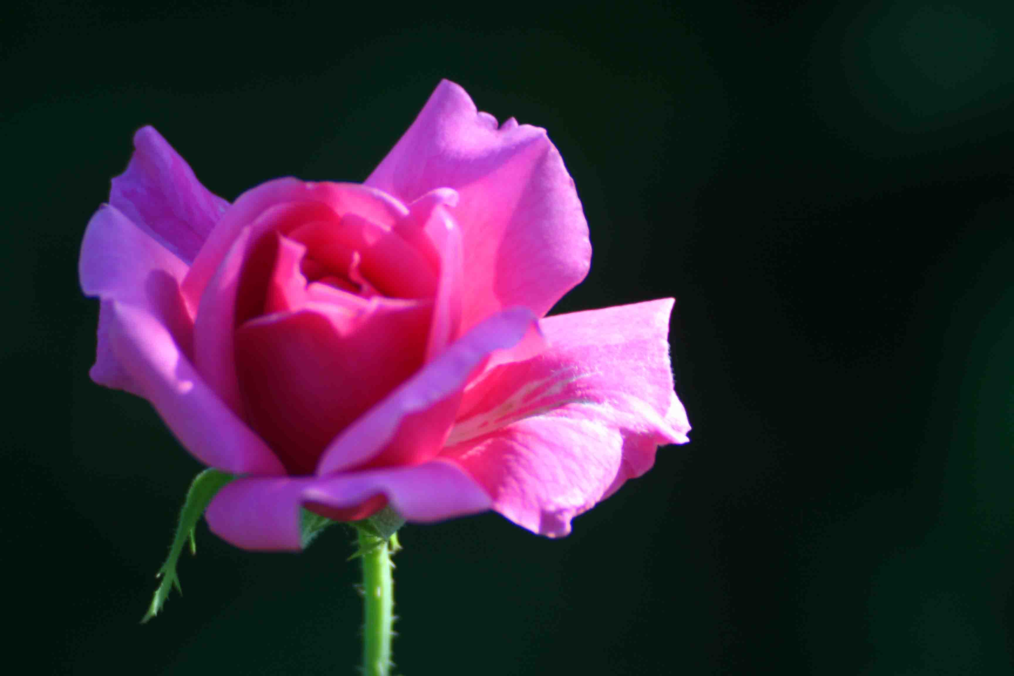 2014.7.7�� 003 (78)z.jpg