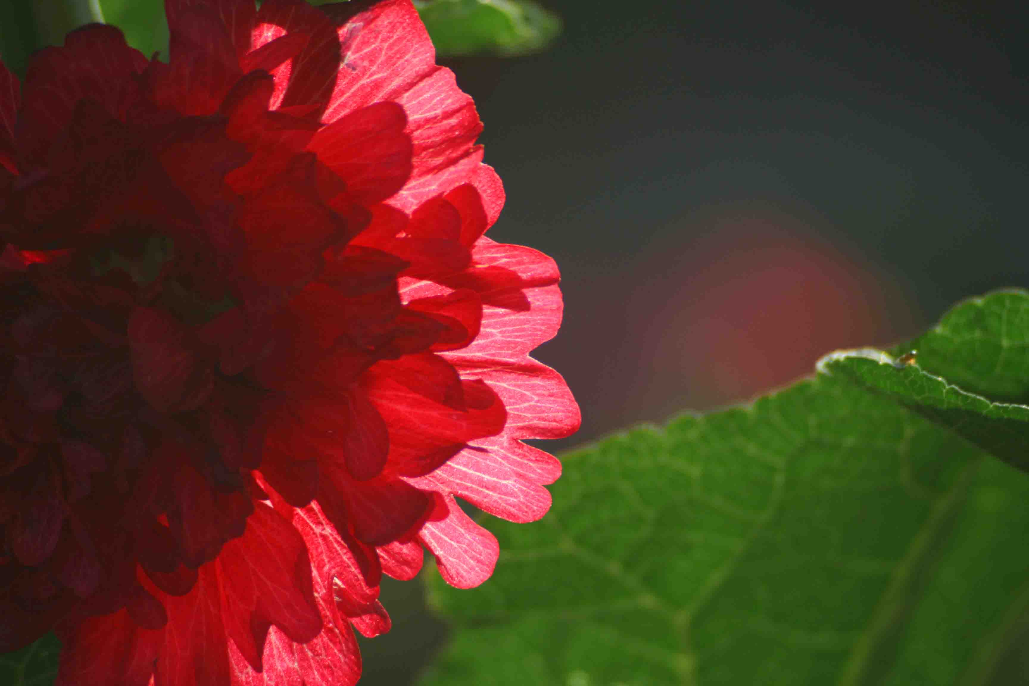 2014.7.7�� 003 (55)z.jpg