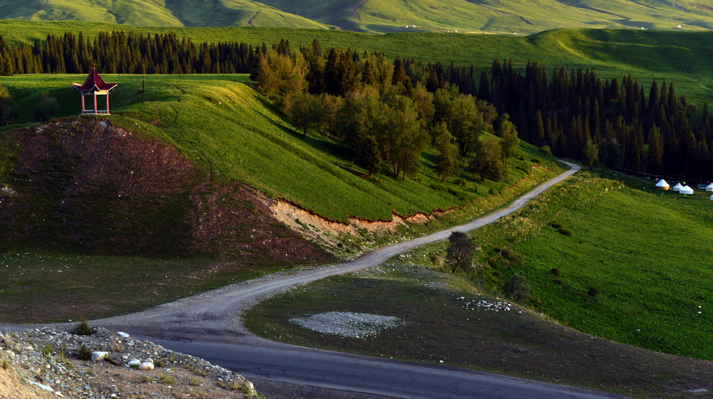 ɽ��     ������