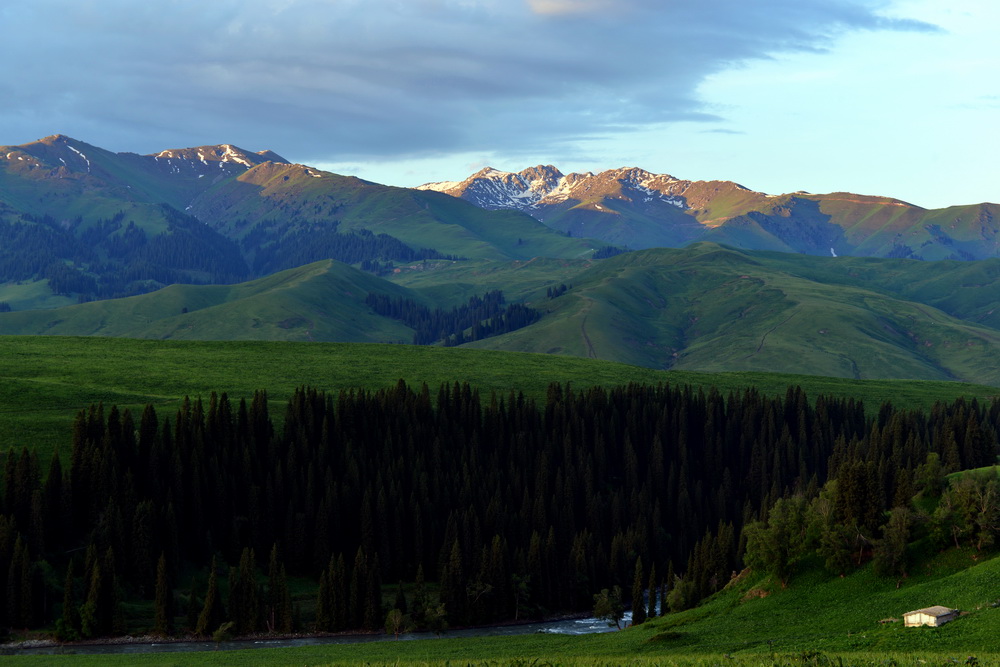 ɽ��    ������