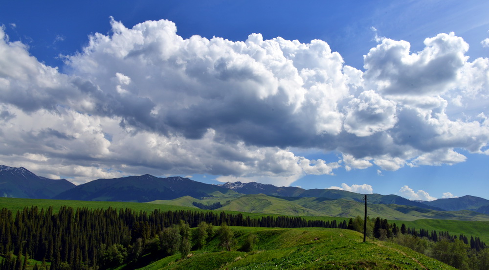 ����    ������