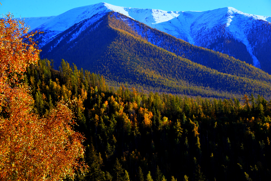 ��Ⱦ�׹���