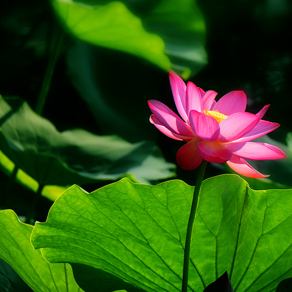 2014��7��24�պɻ� a01912.jpg