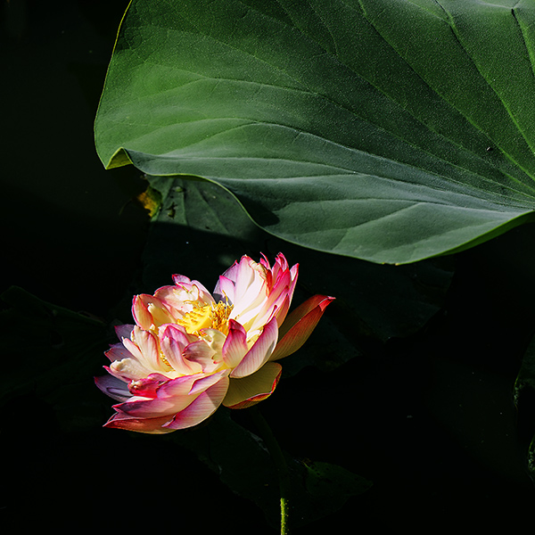 2014��7��24�պɻ� aa05712.jpg