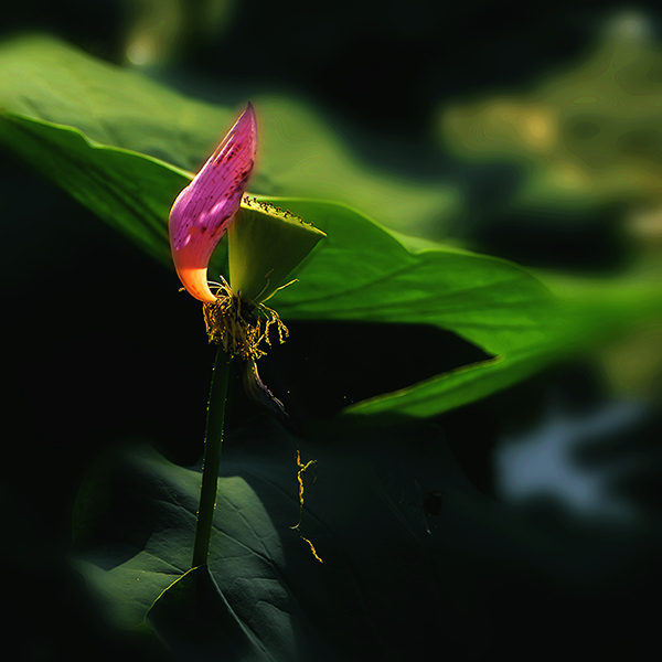 ��ת 2014��7��24�պɻ� a01312.jpg