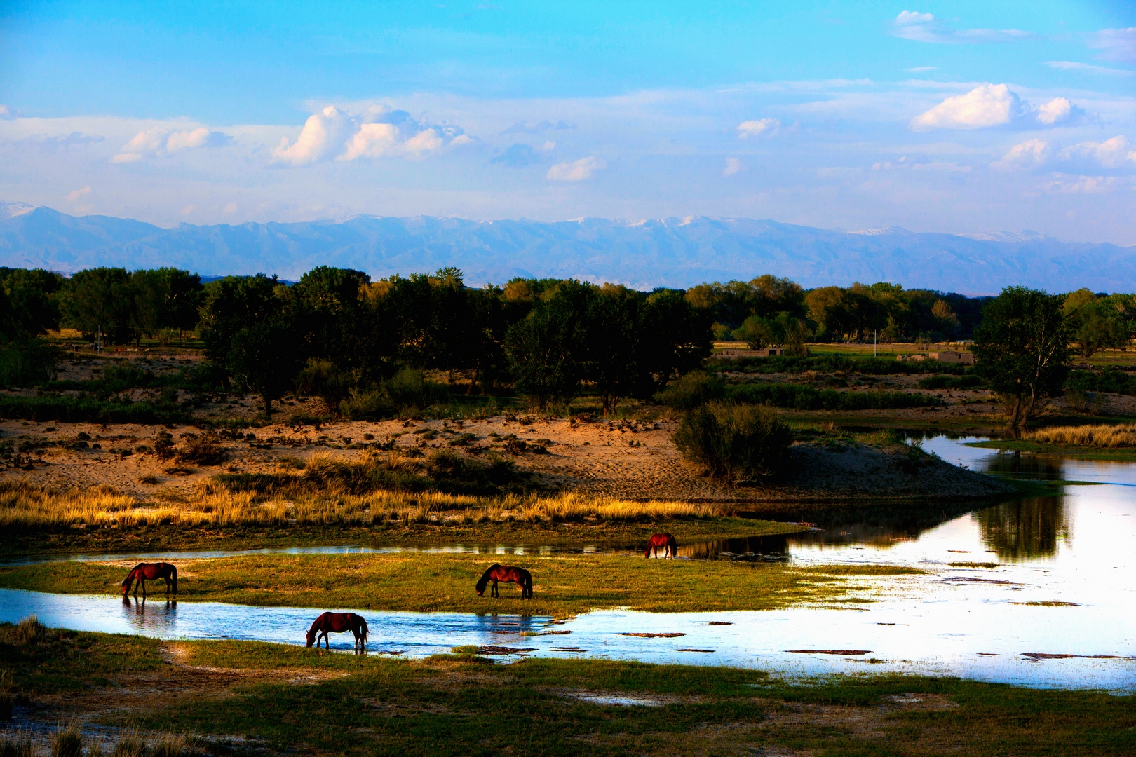 �����ӱ߾�����