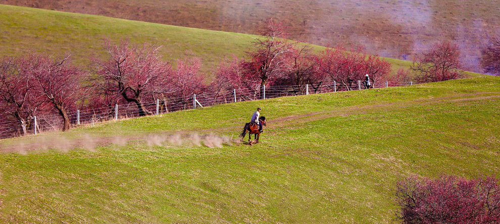 gg 102QAA��������ӻ���.jpg