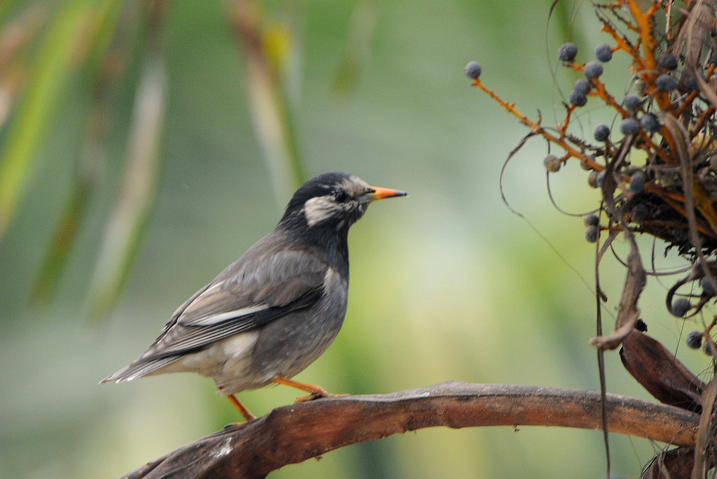 2 �����.jpg