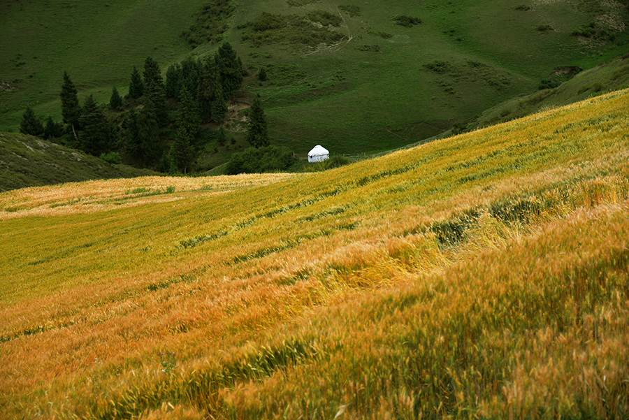 �������˷��