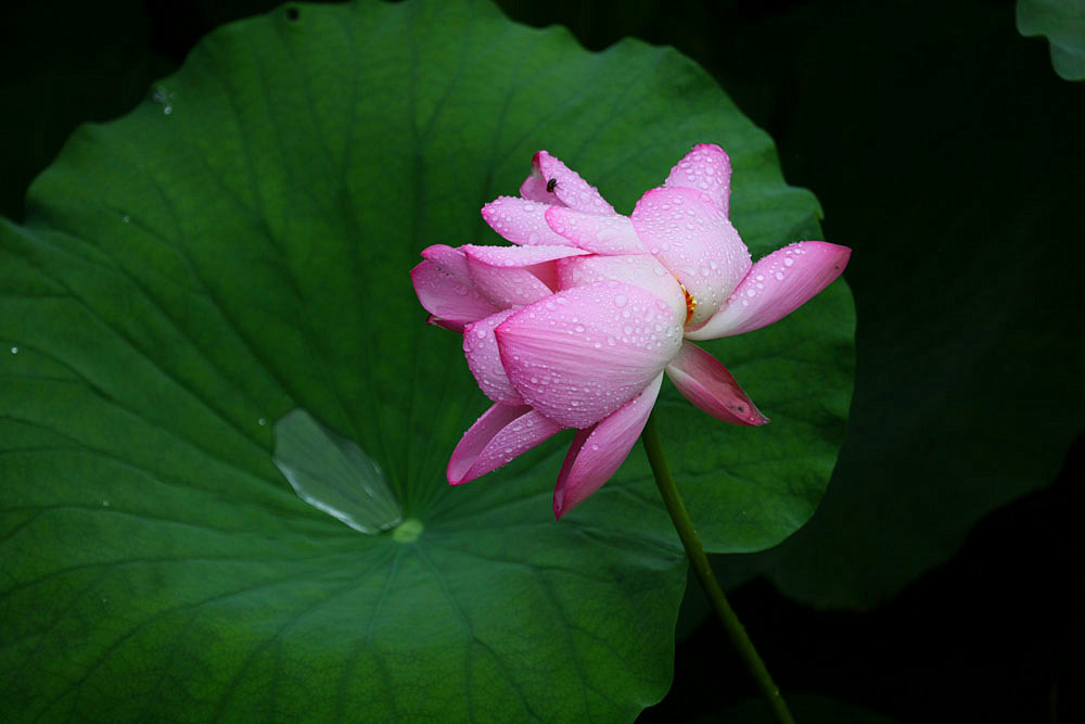 IMG_������ (19)_����.jpg