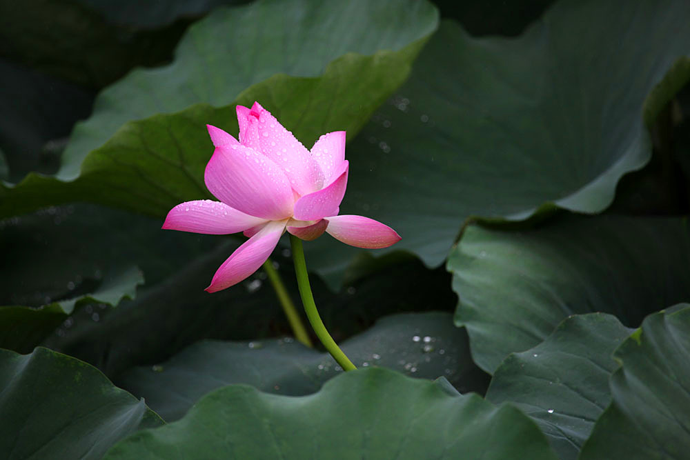 IMG_������ (29)_����.jpg