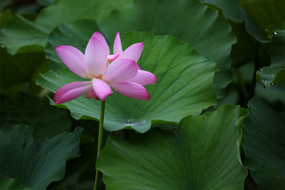 IMG_������ (66)_����.jpg