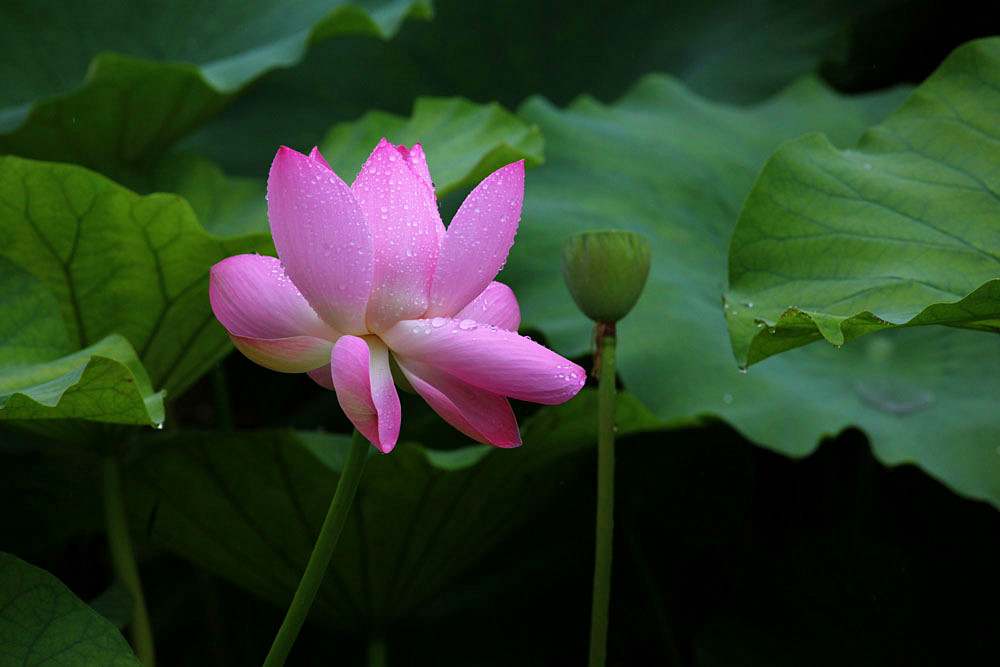 IMG_������ (82)_����.jpg