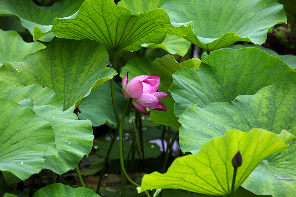 IMG_������ (109)_����.jpg