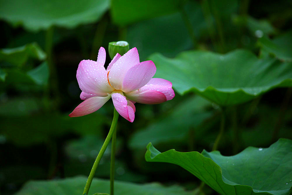 IMG_������ (133)_����.jpg