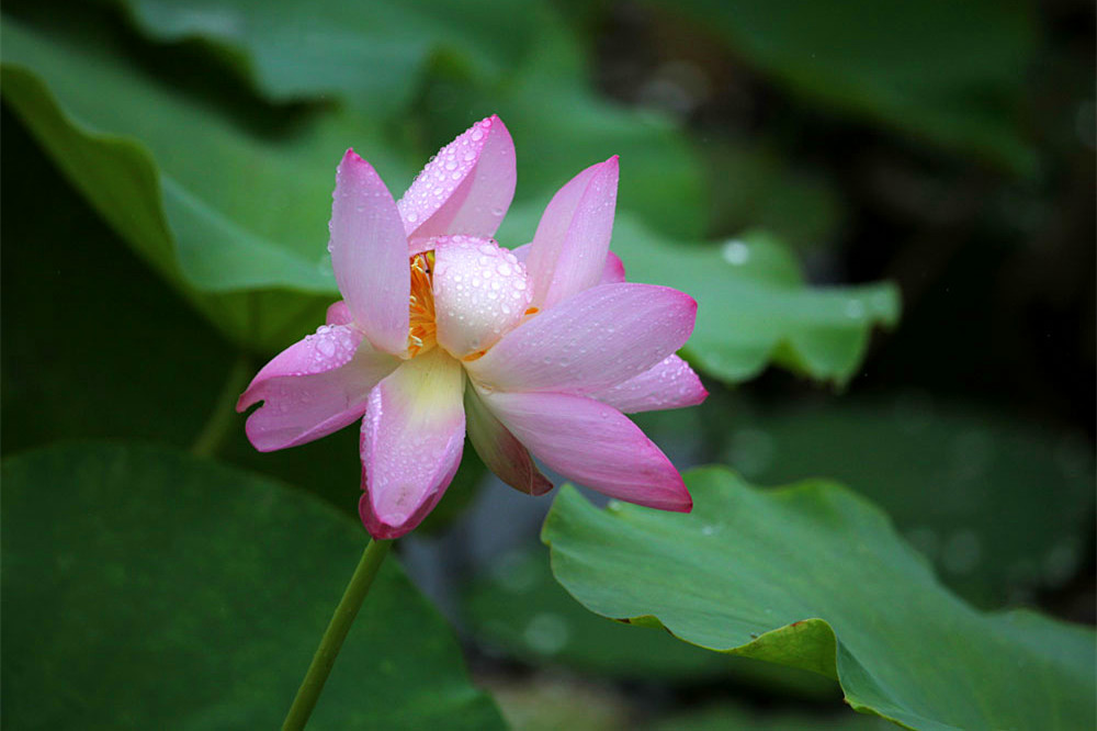 IMG_������ (140)_����.jpg