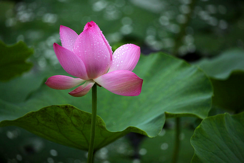 IMG_������ (143)_����.jpg