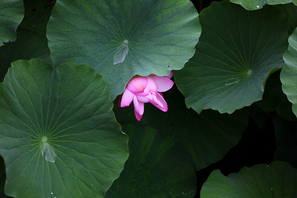 IMG_������ (146)_����.jpg