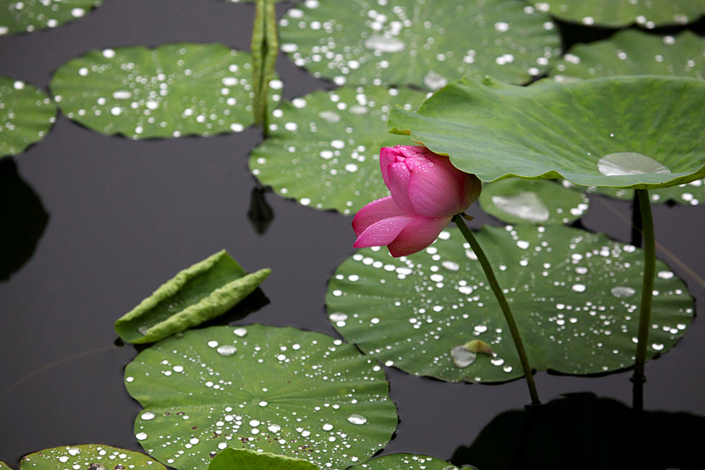 IMG_������ (149)_����.jpg