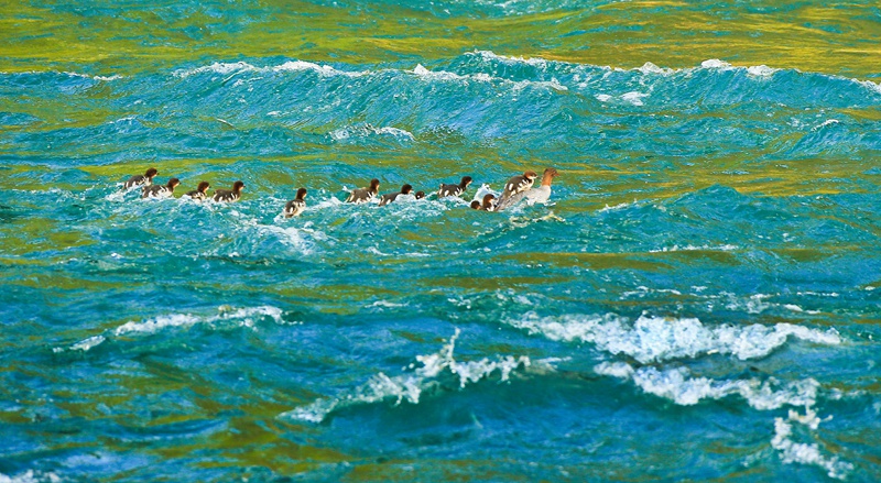 3    ����.jpg