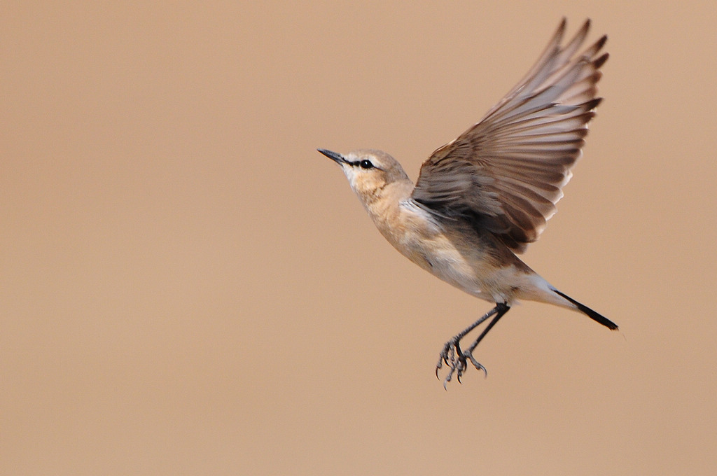 4��ԭɳ�S   1 (2).jpg