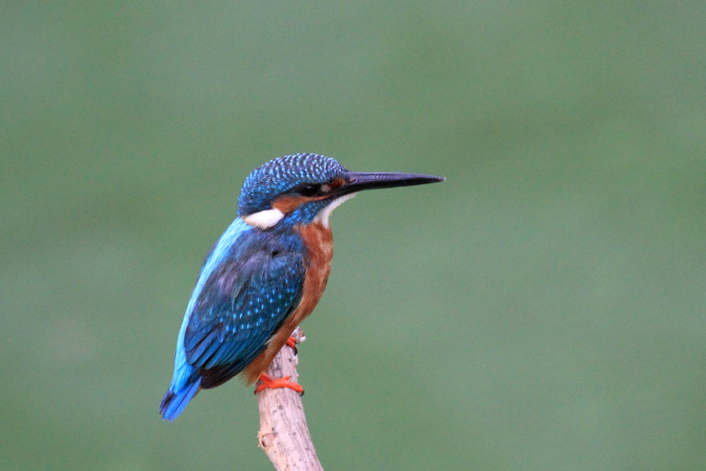 20140812 ���� IMG_1755.JPG