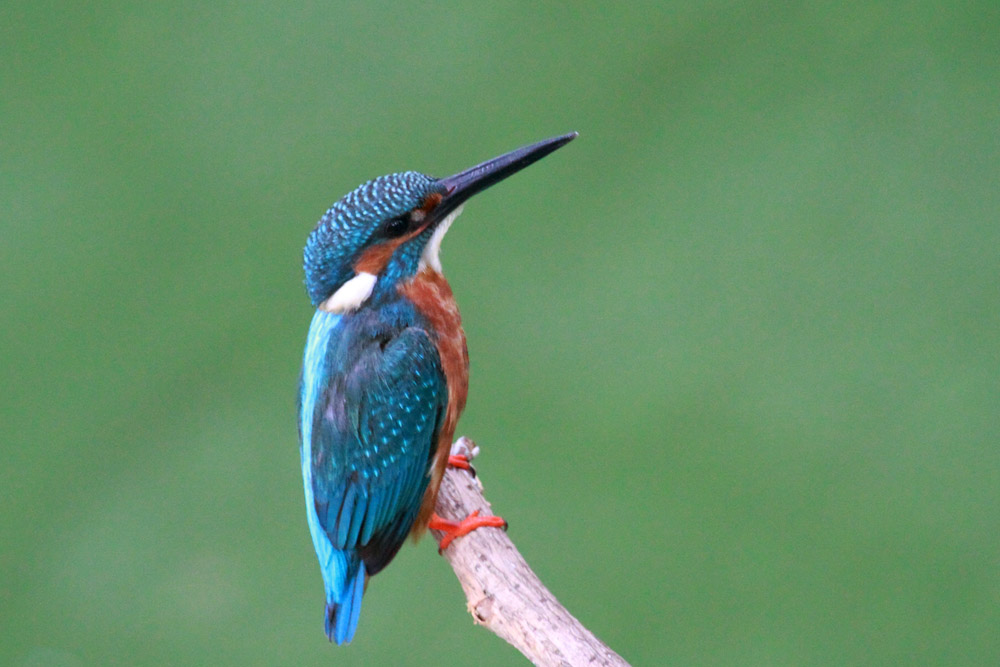 20140812 ���� IMG_1757.JPG