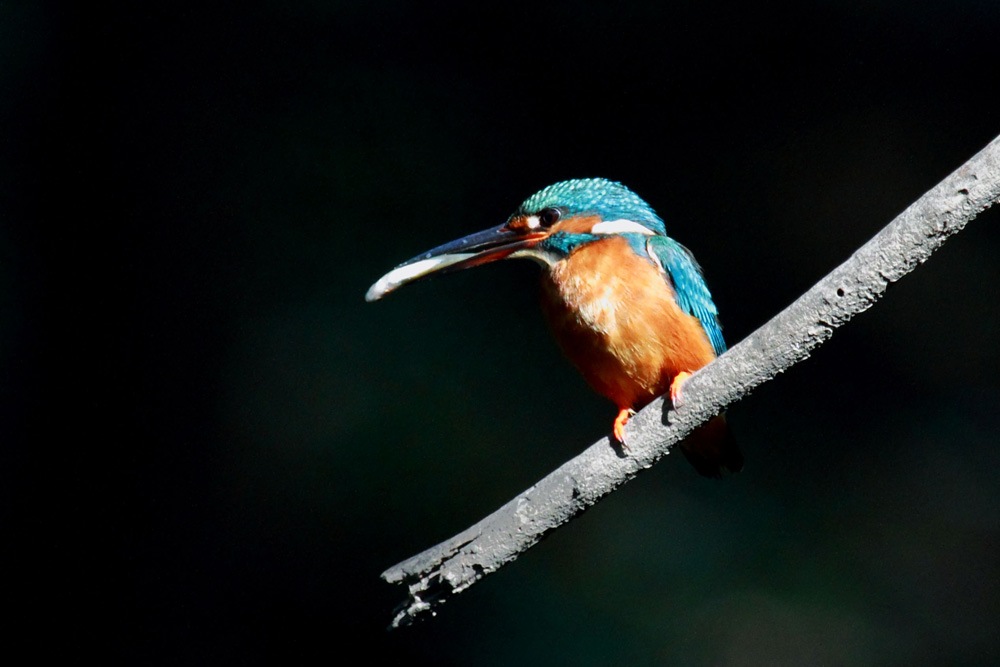 20140812 ���� IMG_1774.JPG