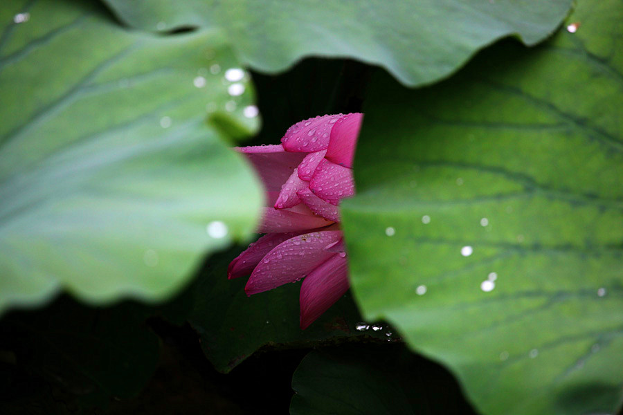 IMG_������ (1)_����.jpg