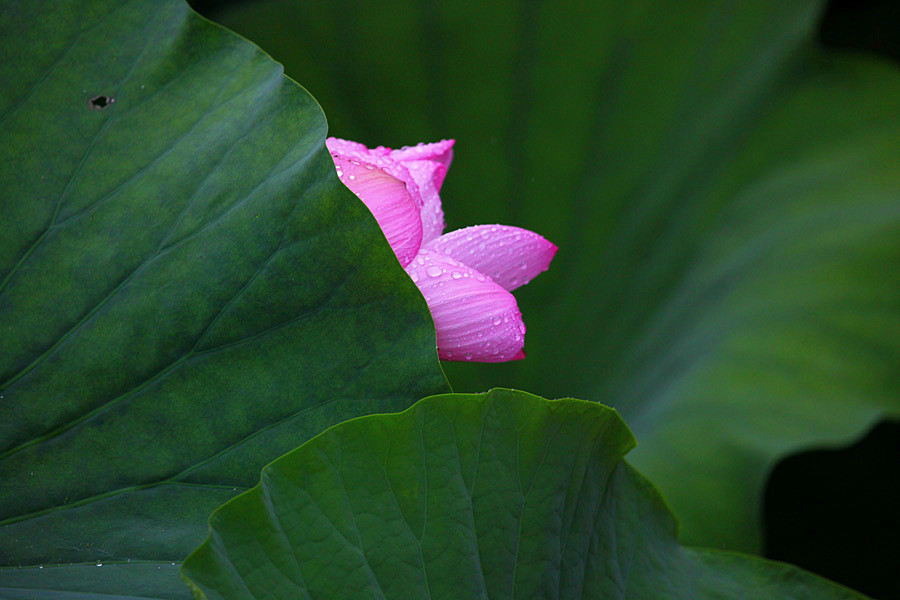 IMG_������ (3)_����.jpg