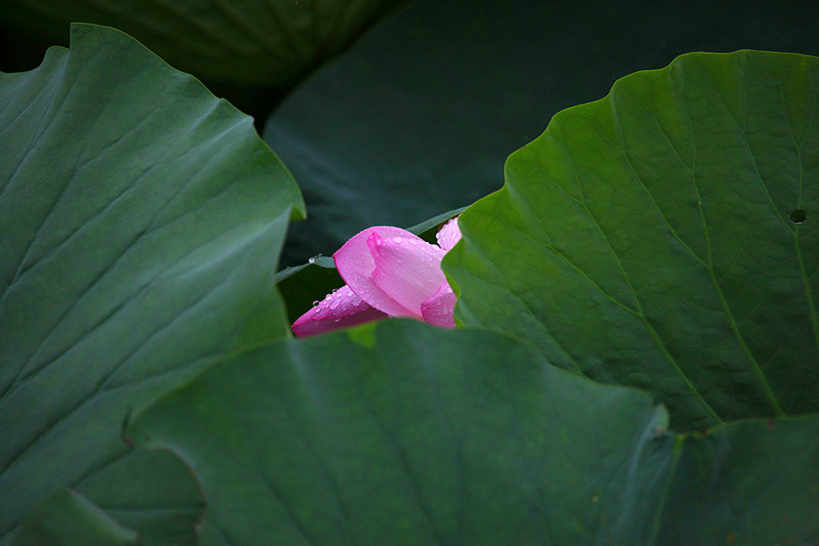 IMG_������ (5)_����.jpg