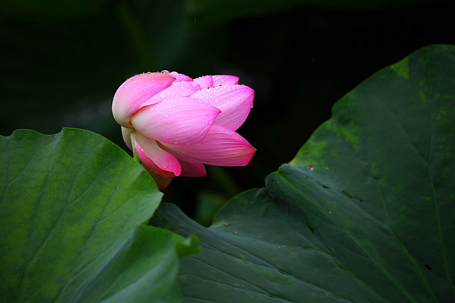 IMG_������ (9)_����.jpg