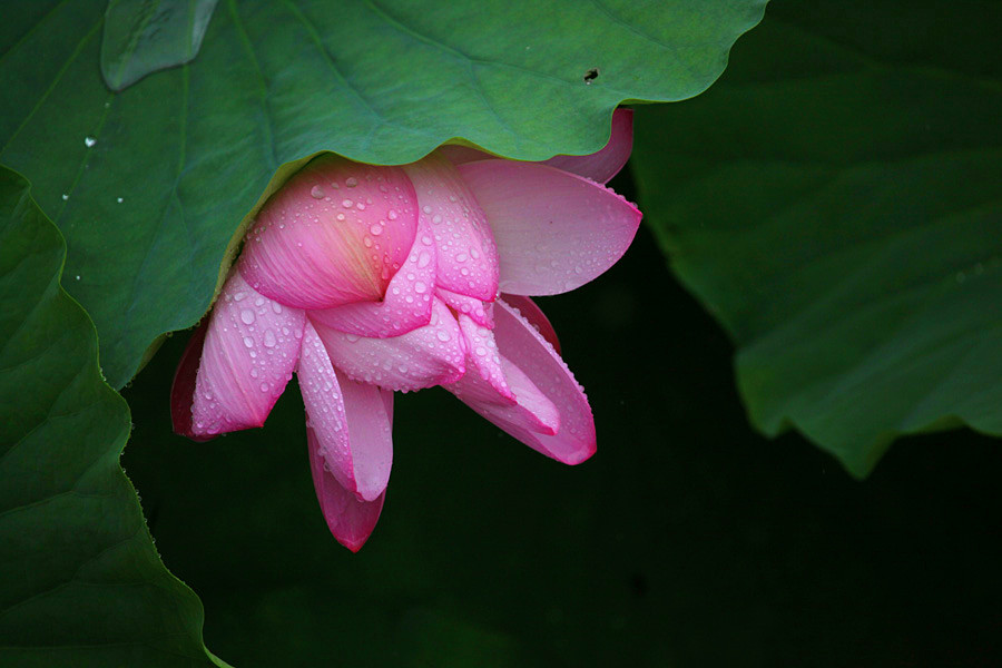 IMG_������ (28)_����.jpg