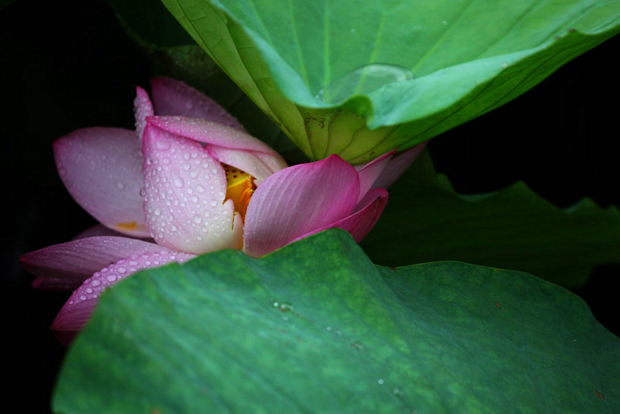 IMG_������ (39)_����.jpg