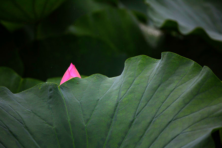 IMG_������ (41)_����.jpg