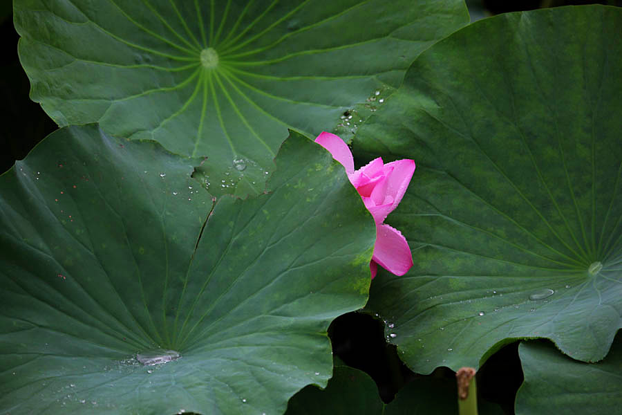 IMG_������ (44)_����.jpg