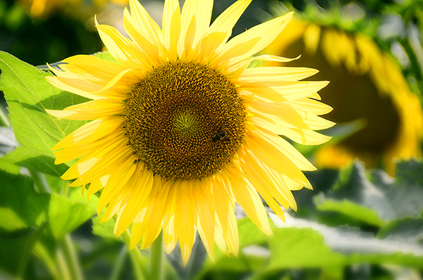 2014��7��27�����տ� a00512.jpg