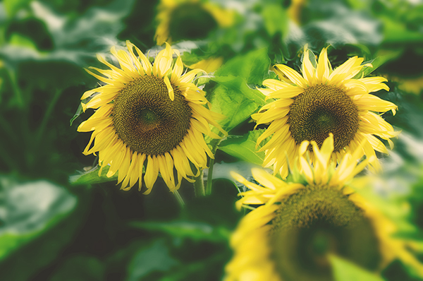 2014��7��27�����տ�a 01812.jpg